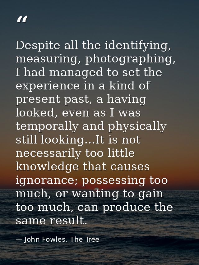 Despite all the identifying, measuring, photographing, I had managed to set the experience in a kind of present past, a  — John Fowles, The Tree