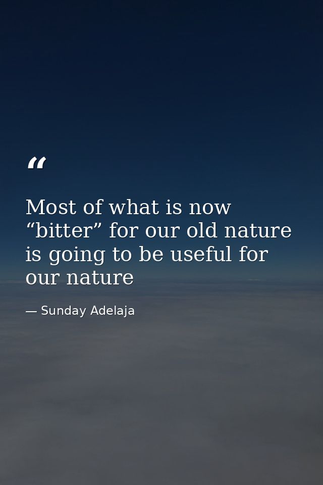 Most of what is now “bitter” for our old nature is going to be useful for our nature — Sunday Adelaja