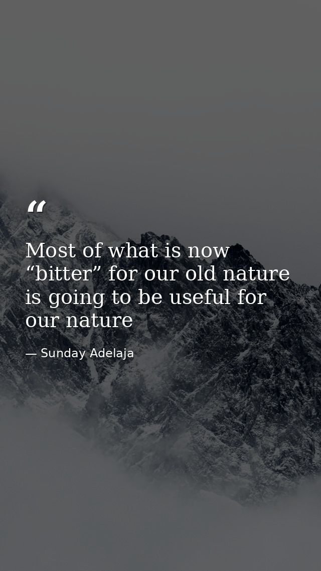 Most of what is now “bitter” for our old nature is going to be useful for our nature — Sunday Adelaja