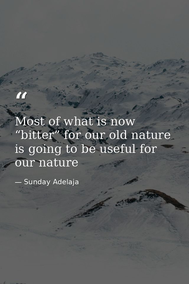 Most of what is now “bitter” for our old nature is going to be useful for our nature — Sunday Adelaja