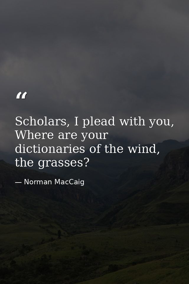 Scholars, I plead with you, Where are your dictionaries of the wind, the grasses? — Norman MacCaig