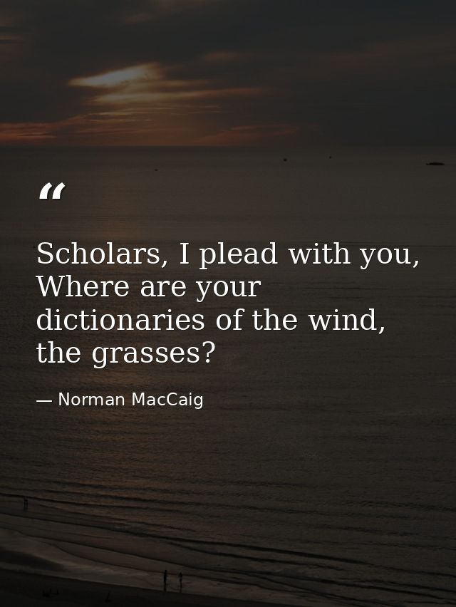 Scholars, I plead with you, Where are your dictionaries of the wind, the grasses? — Norman MacCaig