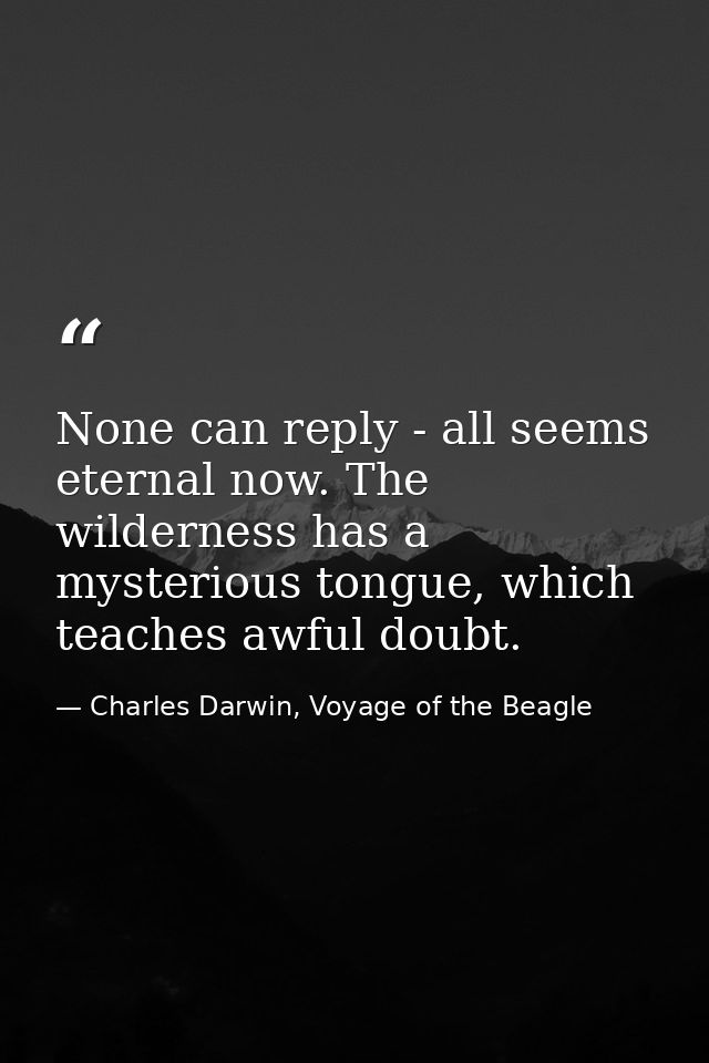 None can reply - all seems eternal now. The wilderness has a mysterious tongue, which teaches awful doubt. — Charles Darwin, Voyage of the Beagle