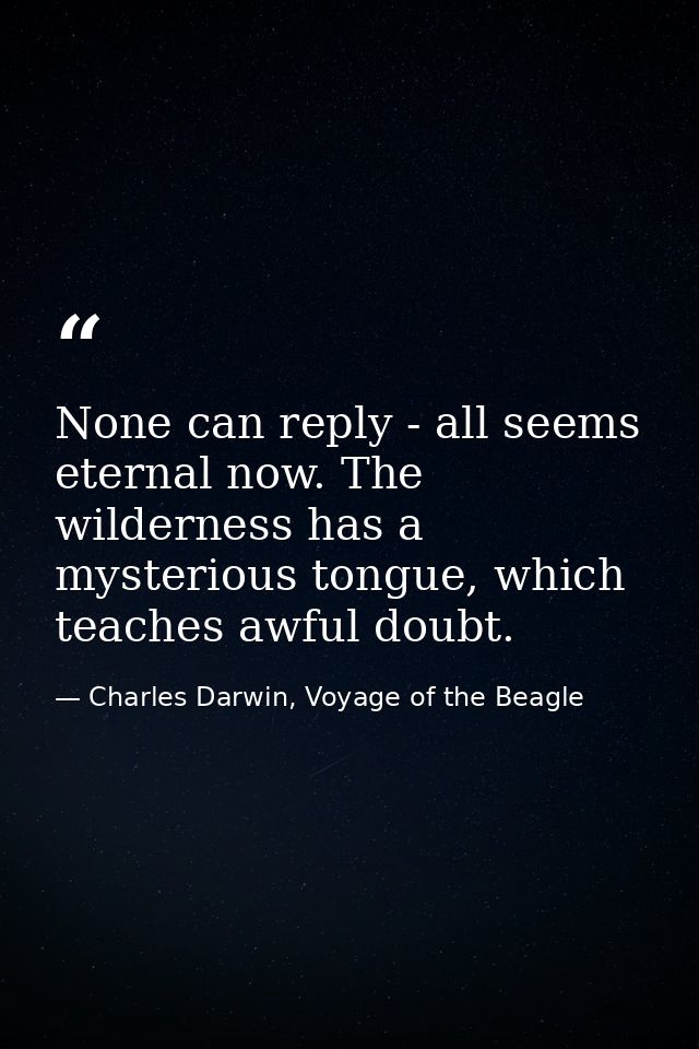 None can reply - all seems eternal now. The wilderness has a mysterious tongue, which teaches awful doubt. — Charles Darwin, Voyage of the Beagle