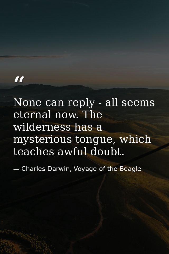 None can reply - all seems eternal now. The wilderness has a mysterious tongue, which teaches awful doubt. — Charles Darwin, Voyage of the Beagle