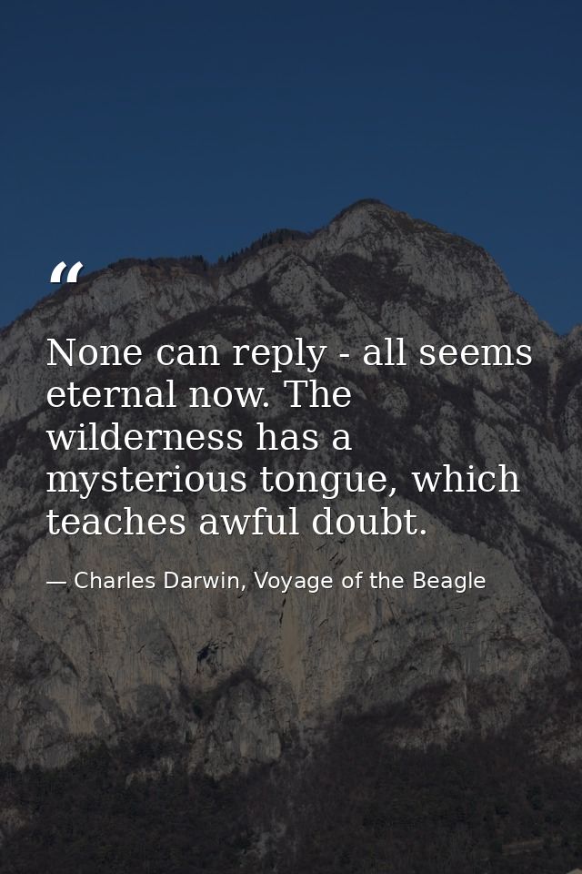 None can reply - all seems eternal now. The wilderness has a mysterious tongue, which teaches awful doubt. — Charles Darwin, Voyage of the Beagle