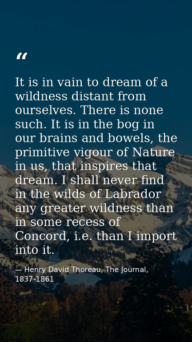 It is in vain to dream of a wildness distant from ourselves. There is none such. It is in the bog in our brains and bowe — Henry David Thoreau, The Journal, 1837-1861
