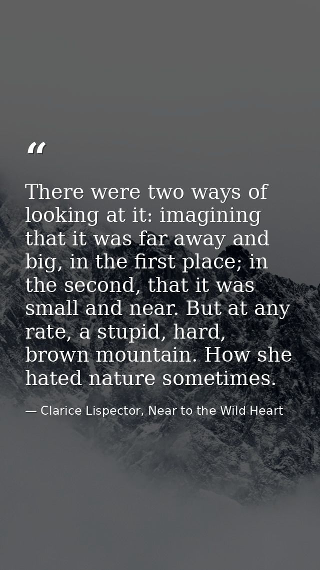 There were two ways of looking at it: imagining that it was far away and big, in the first place; in the second, that it — Clarice Lispector, Near to the Wild Heart
