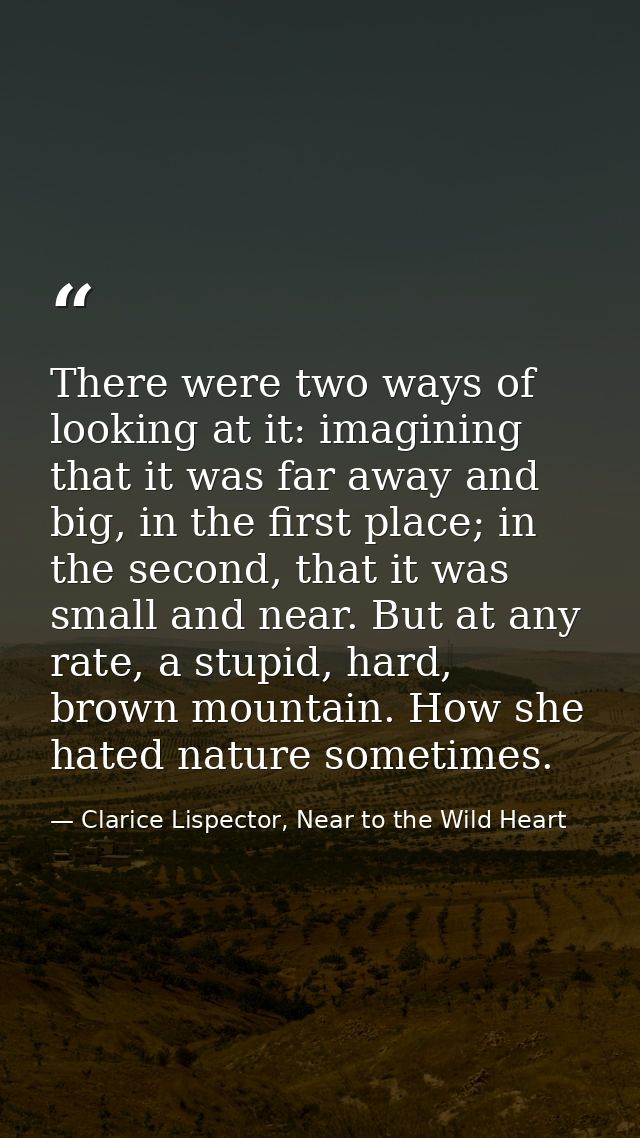 There were two ways of looking at it: imagining that it was far away and big, in the first place; in the second, that it — Clarice Lispector, Near to the Wild Heart