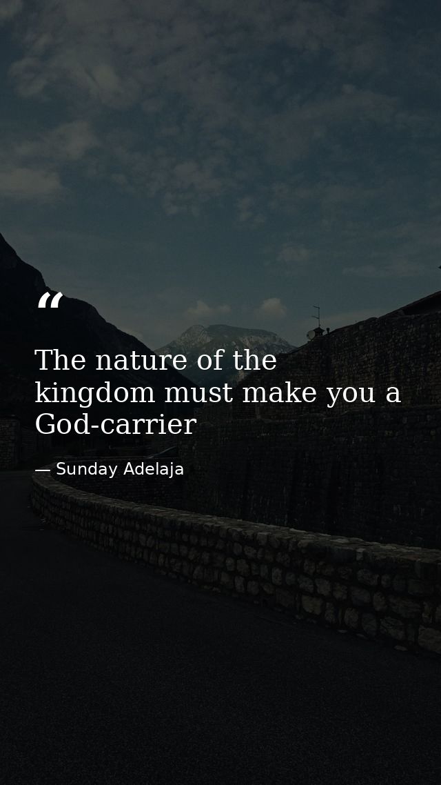 The nature of the kingdom must make you a God-carrier — Sunday Adelaja