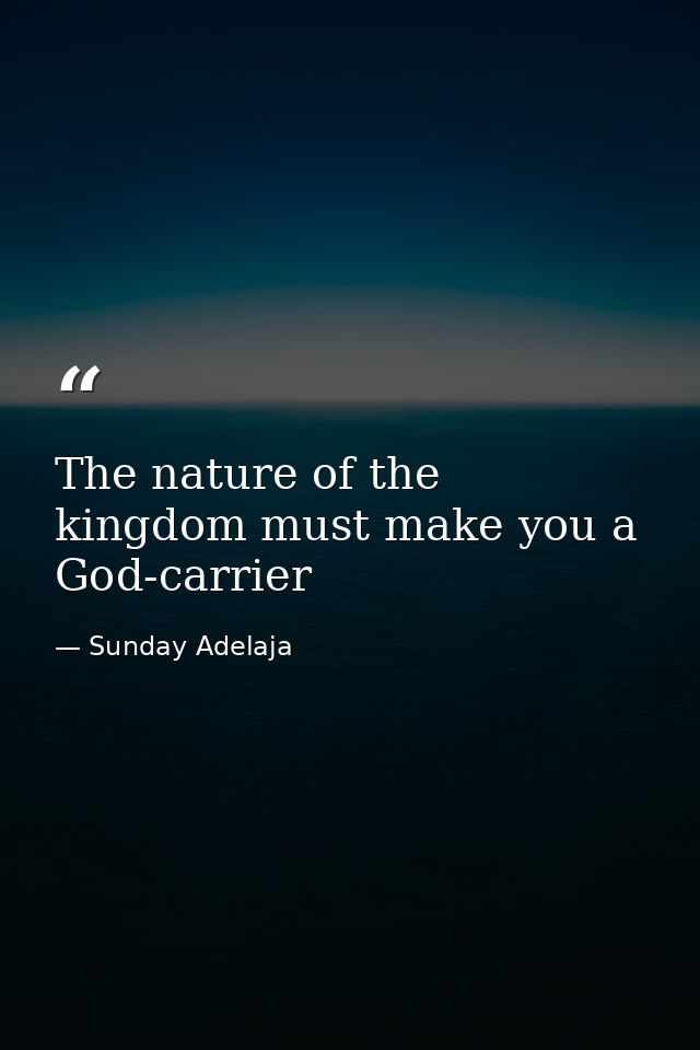 The nature of the kingdom must make you a God-carrier — Sunday Adelaja