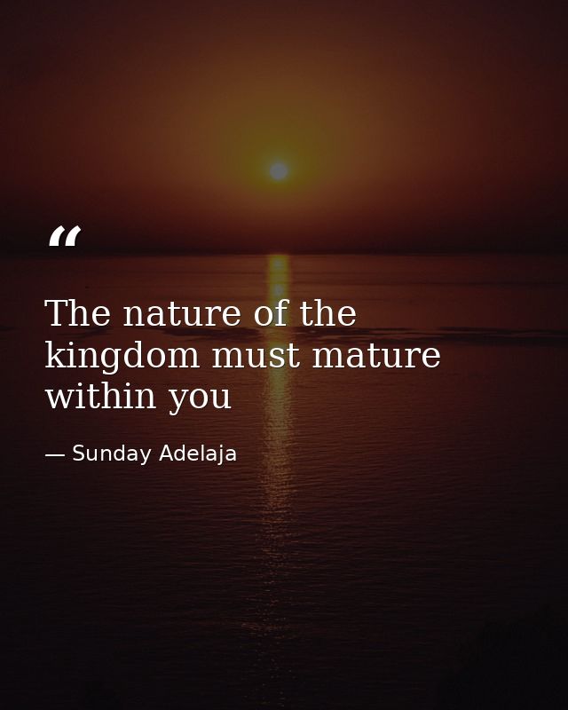 The nature of the kingdom must mature within you — Sunday Adelaja