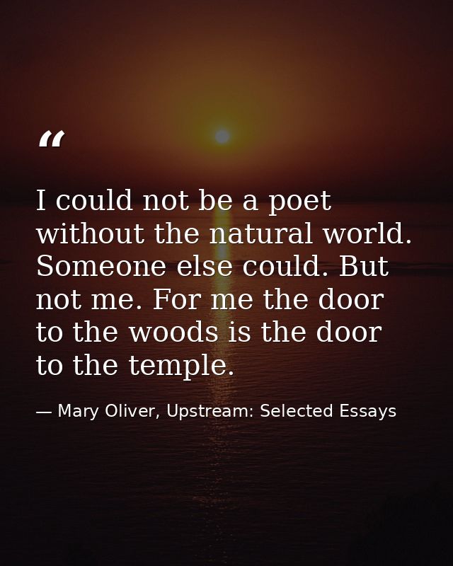 I could not be a poet without the natural world. Someone else could. But not me. For me the door to the woods is the doo — Mary Oliver, Upstream: Selected Essays
