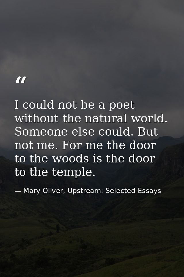 I could not be a poet without the natural world. Someone else could. But not me. For me the door to the woods is the doo — Mary Oliver, Upstream: Selected Essays