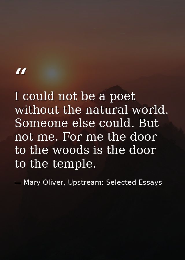 I could not be a poet without the natural world. Someone else could. But not me. For me the door to the woods is the doo — Mary Oliver, Upstream: Selected Essays