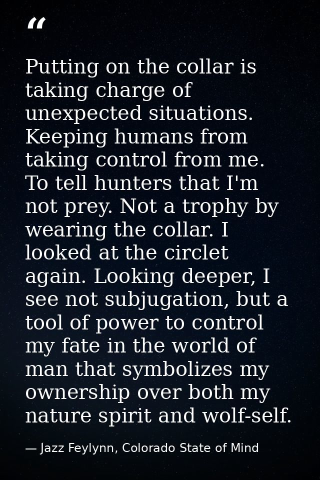 Putting on the collar is taking charge of unexpected situations. Keeping humans from taking control from me. To tell hun — Jazz Feylynn, Colorado State of Mind
