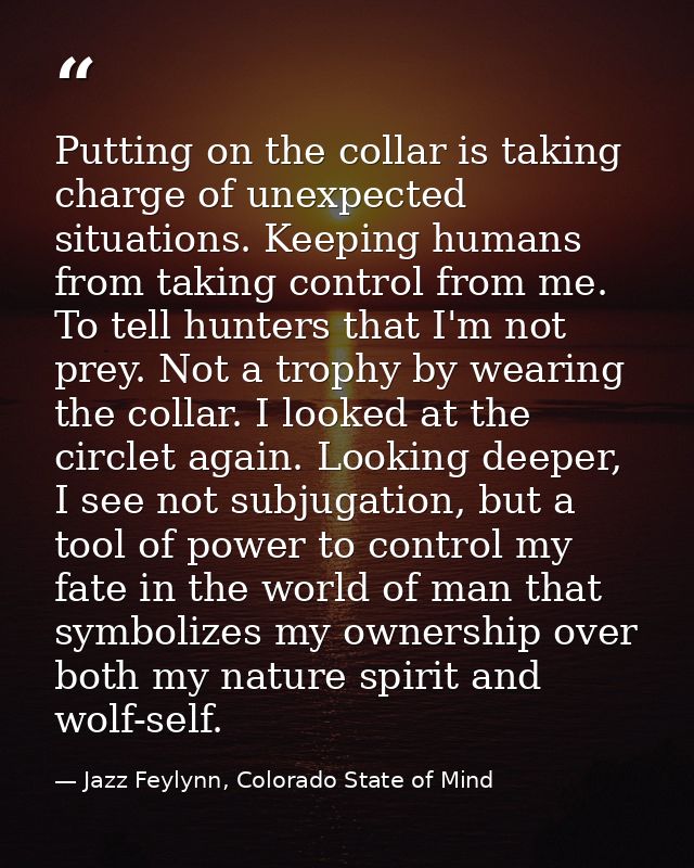 Putting on the collar is taking charge of unexpected situations. Keeping humans from taking control from me. To tell hun — Jazz Feylynn, Colorado State of Mind