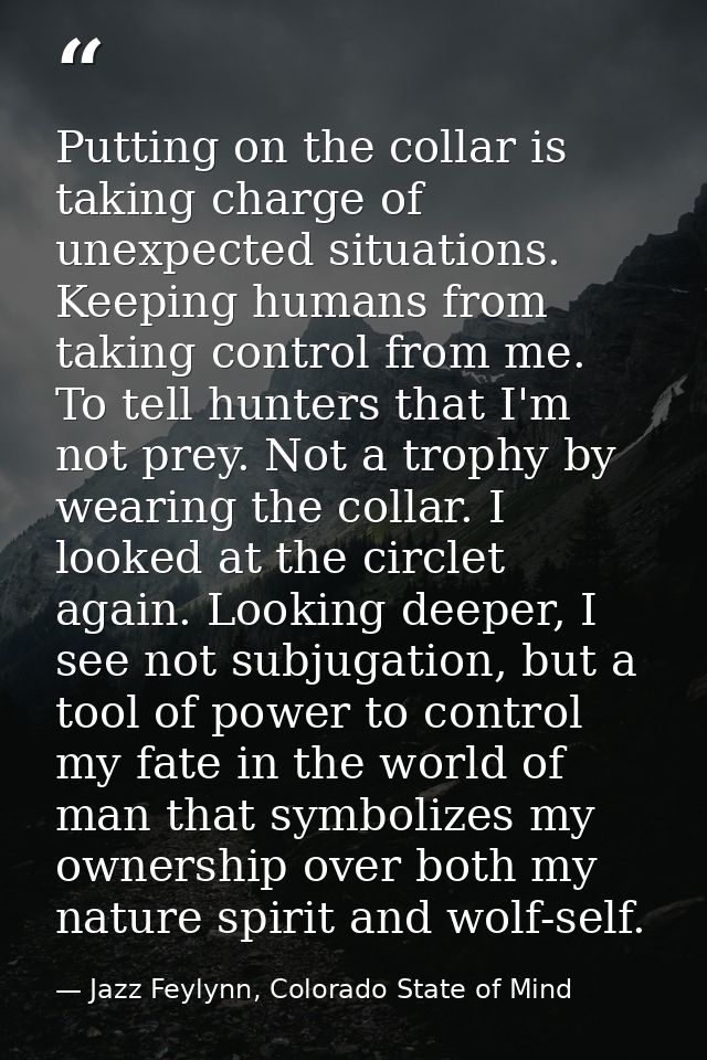 Putting on the collar is taking charge of unexpected situations. Keeping humans from taking control from me. To tell hun — Jazz Feylynn, Colorado State of Mind