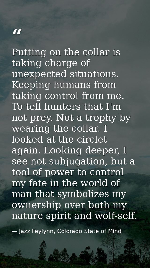 Putting on the collar is taking charge of unexpected situations. Keeping humans from taking control from me. To tell hun — Jazz Feylynn, Colorado State of Mind