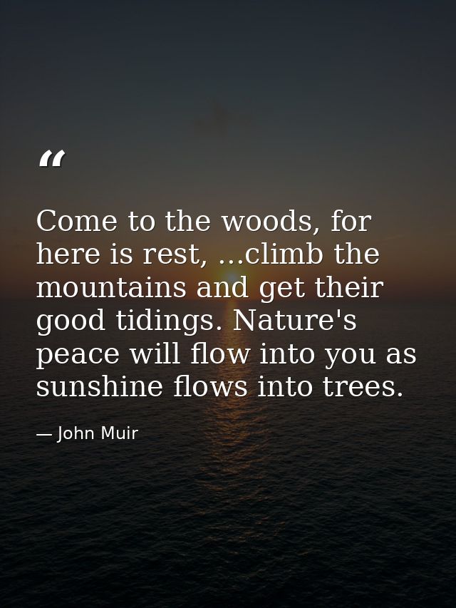 Come to the woods, for here is rest, ...climb the mountains and get their good tidings. Nature's peace will flow into yo — John Muir