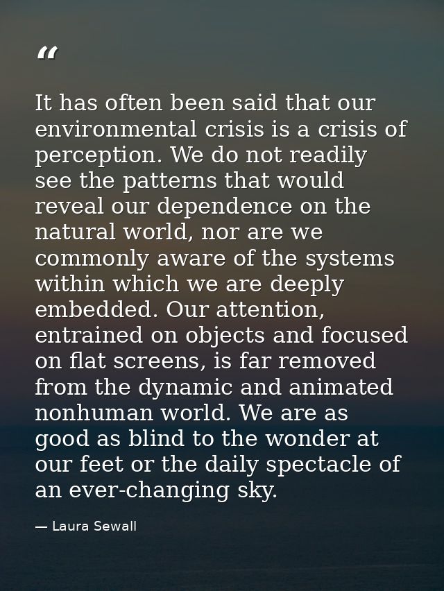 It has often been said that our environmental crisis is a crisis of perception. We do not readily see the patterns that  — Laura Sewall
