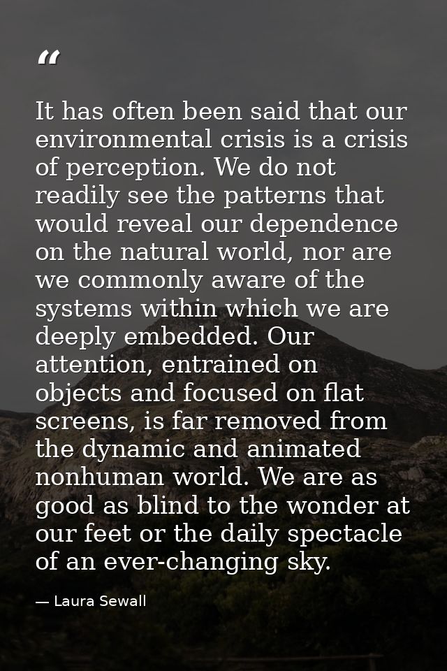 It has often been said that our environmental crisis is a crisis of perception. We do not readily see the patterns that  — Laura Sewall