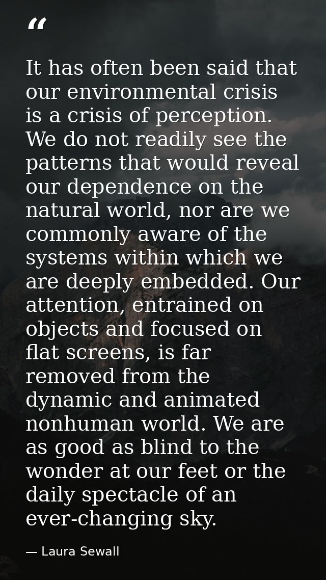 It has often been said that our environmental crisis is a crisis of perception. We do not readily see the patterns that  — Laura Sewall