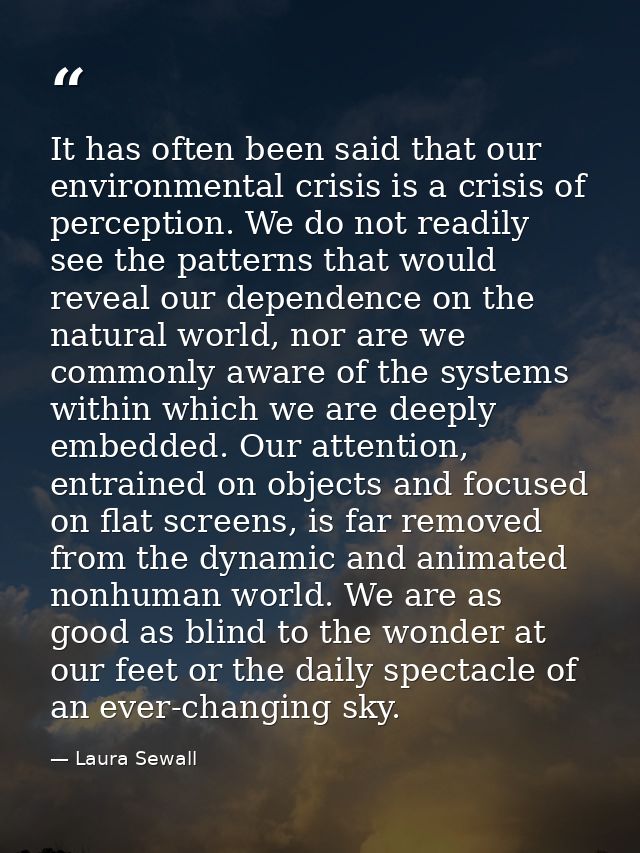 It has often been said that our environmental crisis is a crisis of perception. We do not readily see the patterns that  — Laura Sewall