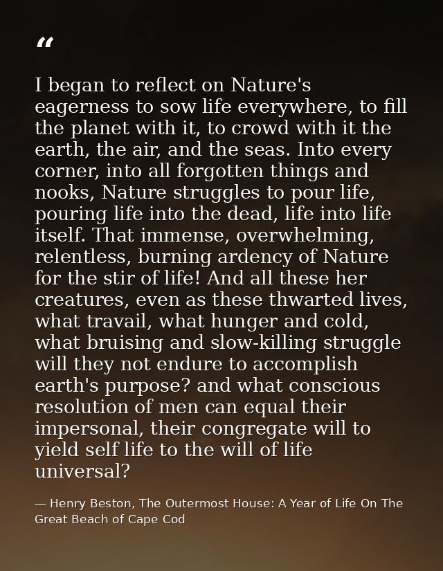 I began to reflect on Nature's eagerness to sow life everywhere, to fill the planet with it, to crowd with it the earth, — Henry Beston, The Outermost House: A Year of Life On The Great Beach of Cape Cod