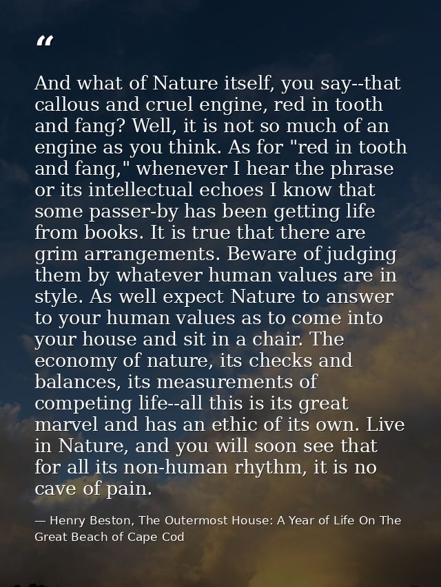 And what of Nature itself, you say--that callous and cruel engine, red in tooth and fang? Well, it is not so much of an  — Henry Beston, The Outermost House: A Year of Life On The Great Beach of Cape Cod