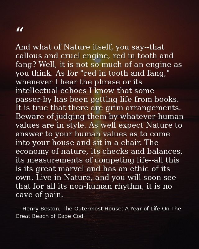 And what of Nature itself, you say--that callous and cruel engine, red in tooth and fang? Well, it is not so much of an  — Henry Beston, The Outermost House: A Year of Life On The Great Beach of Cape Cod