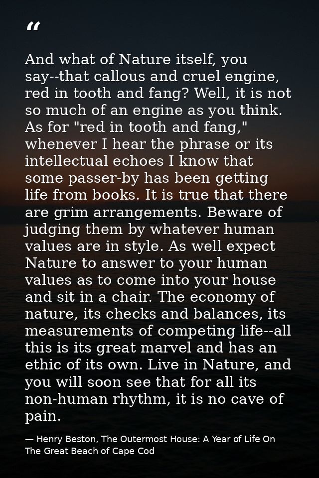 And what of Nature itself, you say--that callous and cruel engine, red in tooth and fang? Well, it is not so much of an  — Henry Beston, The Outermost House: A Year of Life On The Great Beach of Cape Cod