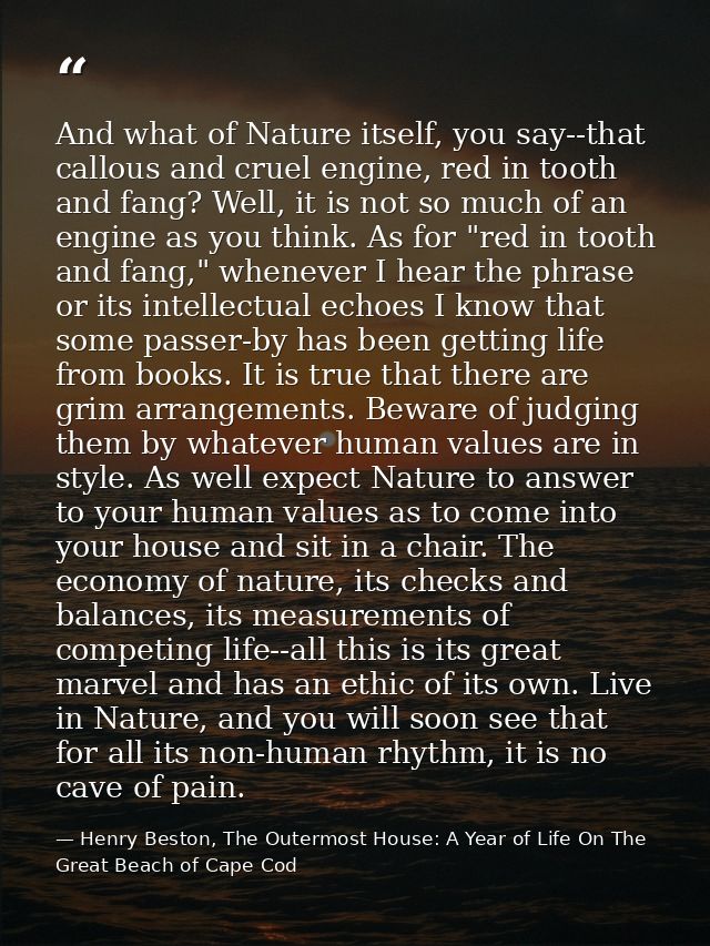 And what of Nature itself, you say--that callous and cruel engine, red in tooth and fang? Well, it is not so much of an  — Henry Beston, The Outermost House: A Year of Life On The Great Beach of Cape Cod