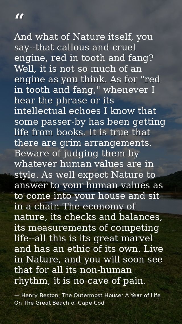 And what of Nature itself, you say--that callous and cruel engine, red in tooth and fang? Well, it is not so much of an  — Henry Beston, The Outermost House: A Year of Life On The Great Beach of Cape Cod