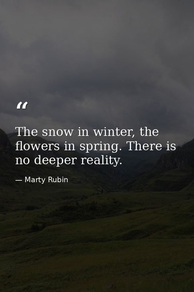 The snow in winter, the flowers in spring. There is no deeper reality. — Marty Rubin
