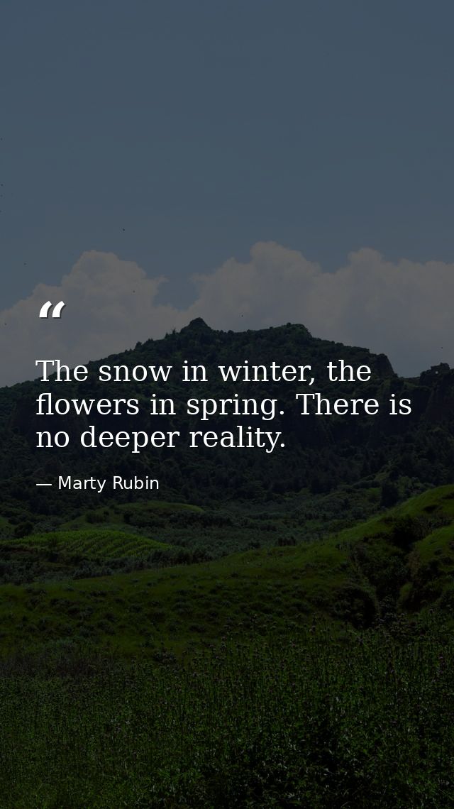The snow in winter, the flowers in spring. There is no deeper reality. — Marty Rubin