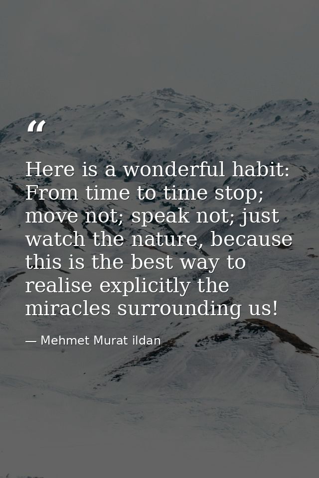Here is a wonderful habit: From time to time stop; move not; speak not; just watch the nature, because this is the best  — Mehmet Murat ildan