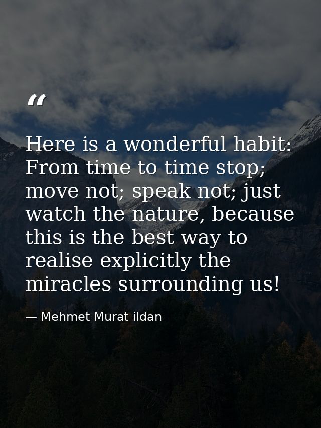 Here is a wonderful habit: From time to time stop; move not; speak not; just watch the nature, because this is the best  — Mehmet Murat ildan