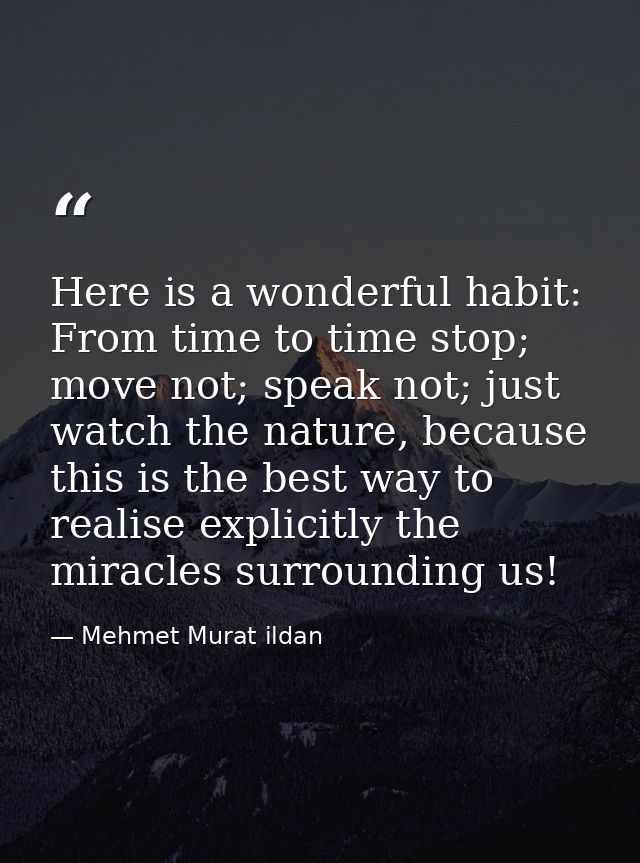 Here is a wonderful habit: From time to time stop; move not; speak not; just watch the nature, because this is the best  — Mehmet Murat ildan