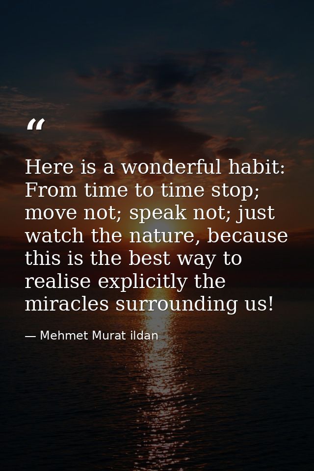 Here is a wonderful habit: From time to time stop; move not; speak not; just watch the nature, because this is the best  — Mehmet Murat ildan