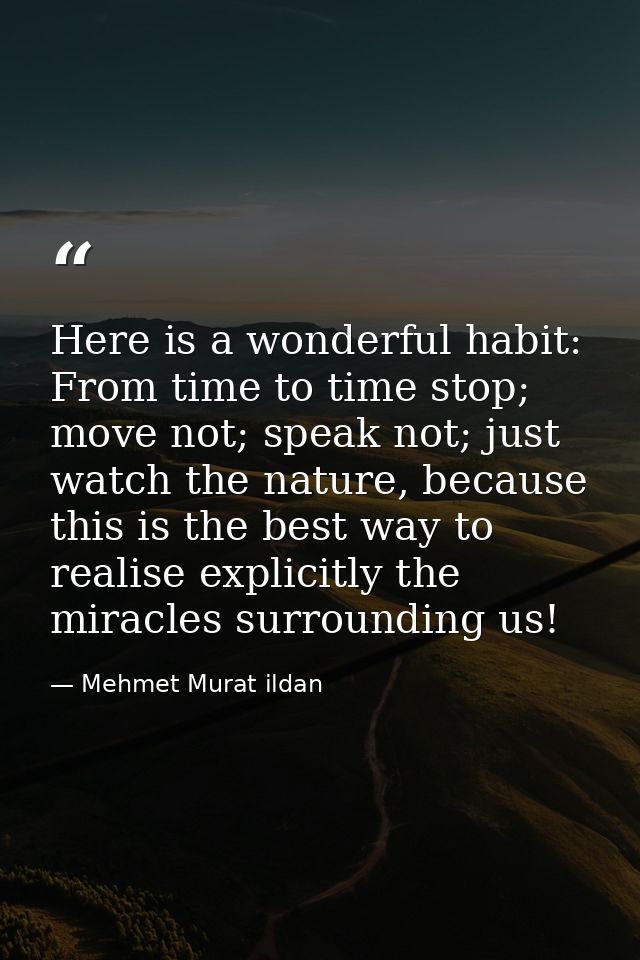 Here is a wonderful habit: From time to time stop; move not; speak not; just watch the nature, because this is the best  — Mehmet Murat ildan