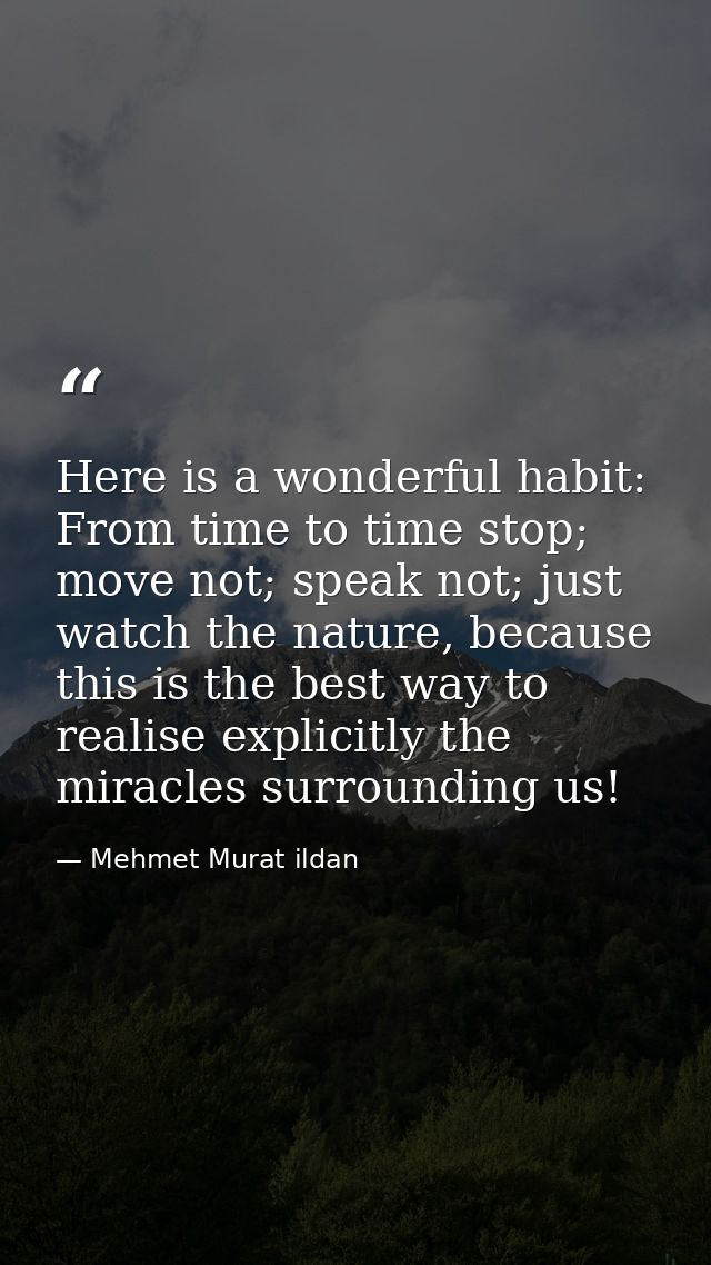 Here is a wonderful habit: From time to time stop; move not; speak not; just watch the nature, because this is the best  — Mehmet Murat ildan