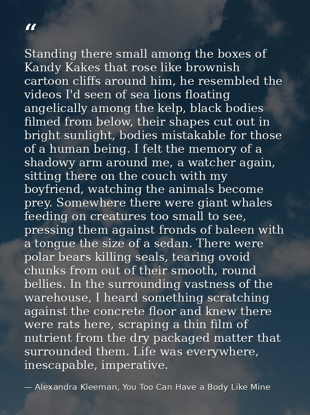Standing there small among the boxes of Kandy Kakes that rose like brownish cartoon cliffs around him, he resembled the  — Alexandra Kleeman, You Too Can Have a Body Like Mine