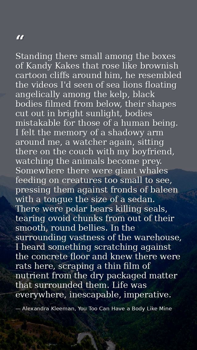 Standing there small among the boxes of Kandy Kakes that rose like brownish cartoon cliffs around him, he resembled the  — Alexandra Kleeman, You Too Can Have a Body Like Mine
