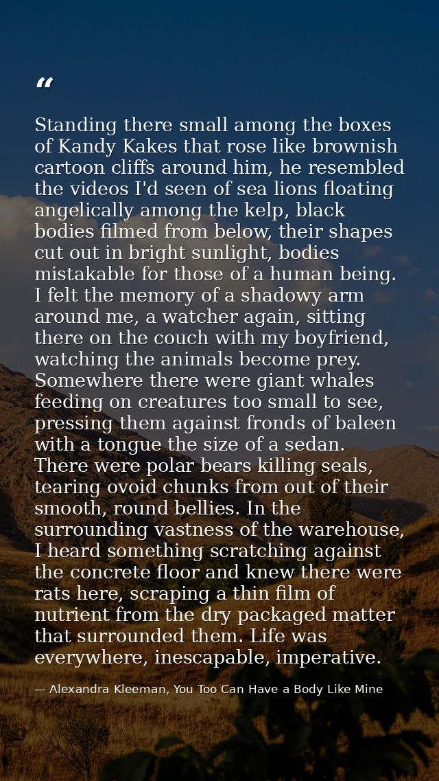 Standing there small among the boxes of Kandy Kakes that rose like brownish cartoon cliffs around him, he resembled the  — Alexandra Kleeman, You Too Can Have a Body Like Mine