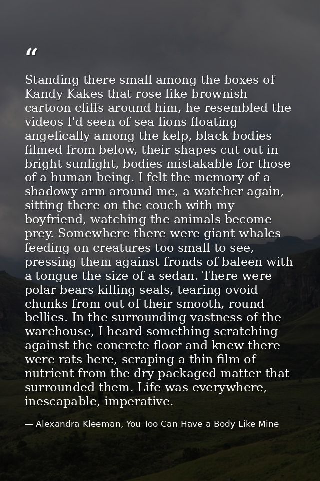 Standing there small among the boxes of Kandy Kakes that rose like brownish cartoon cliffs around him, he resembled the  — Alexandra Kleeman, You Too Can Have a Body Like Mine