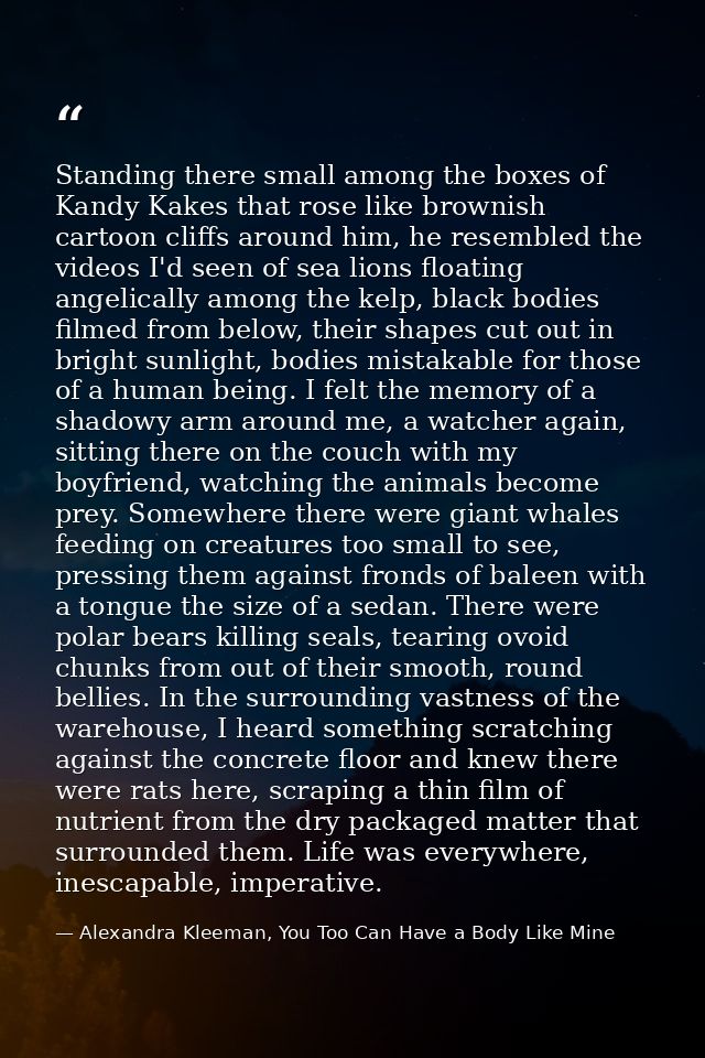 Standing there small among the boxes of Kandy Kakes that rose like brownish cartoon cliffs around him, he resembled the  — Alexandra Kleeman, You Too Can Have a Body Like Mine