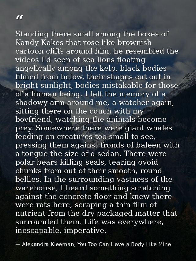 Standing there small among the boxes of Kandy Kakes that rose like brownish cartoon cliffs around him, he resembled the  — Alexandra Kleeman, You Too Can Have a Body Like Mine