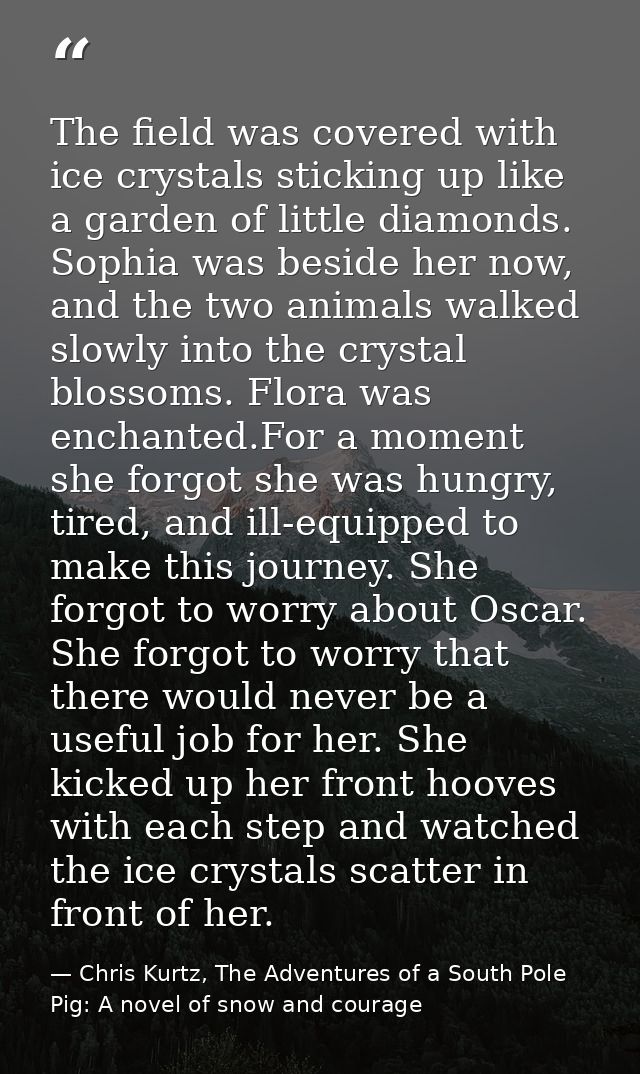 The field was covered with ice crystals sticking up like a garden of little diamonds. Sophia was beside her now, and the — Chris Kurtz, The Adventures of a South Pole Pig: A novel of snow and courage
