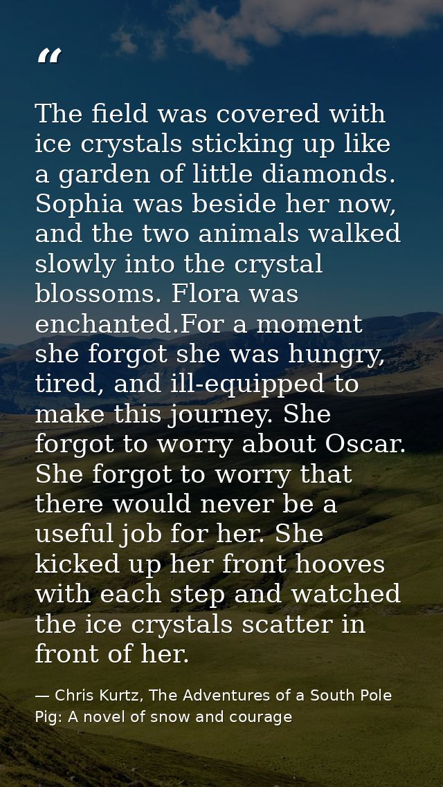 The field was covered with ice crystals sticking up like a garden of little diamonds. Sophia was beside her now, and the — Chris Kurtz, The Adventures of a South Pole Pig: A novel of snow and courage